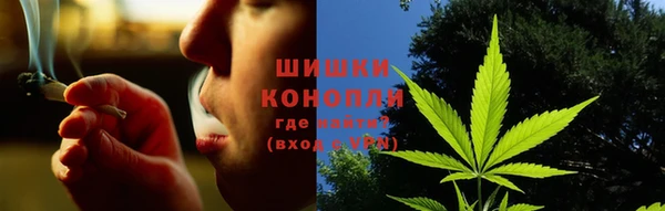 PSILOCYBIN Армянск