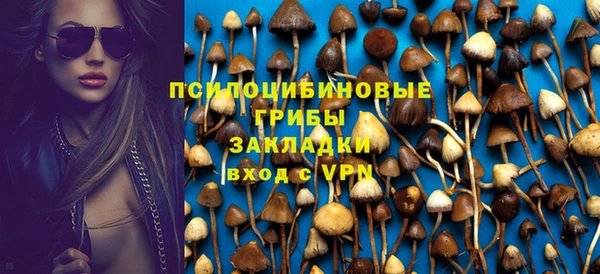 PSILOCYBIN Армянск