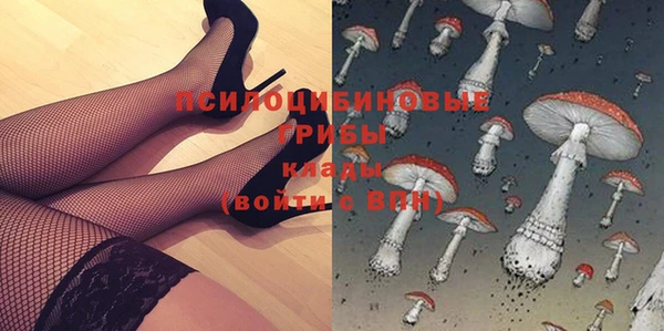 PSILOCYBIN Армянск