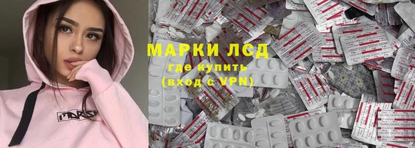 PSILOCYBIN Армянск