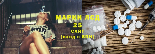 PSILOCYBIN Армянск