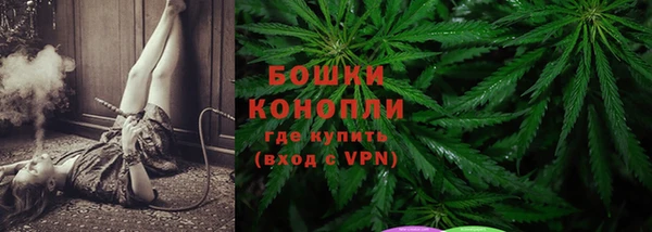PSILOCYBIN Армянск