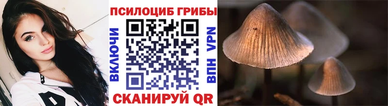 Купить  Вытегра  Псилоцибиновые грибы мухоморы 